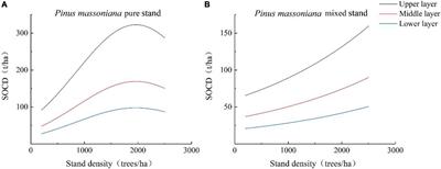 Forest structure characteristics on soil carbon and nitrogen storage of Pinus massoniana plantations in southern subtropic region